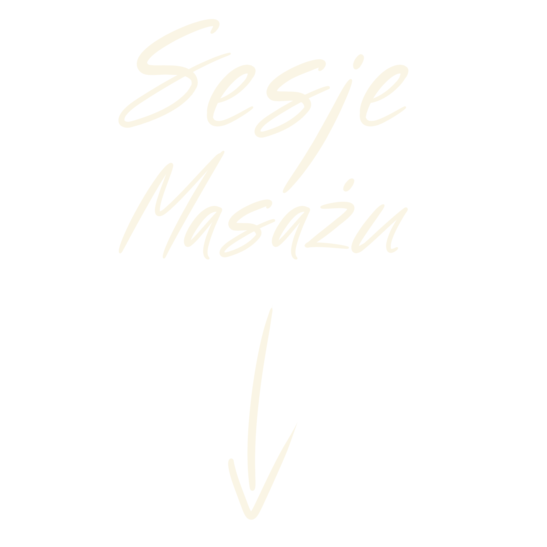sesje masazy 01